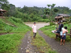 the river at flood stage